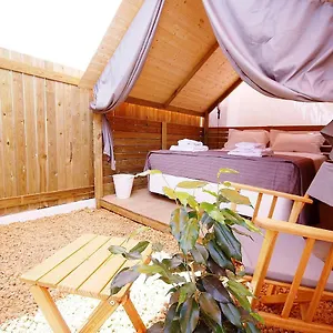 Camping Lemon Tree Urban Camping